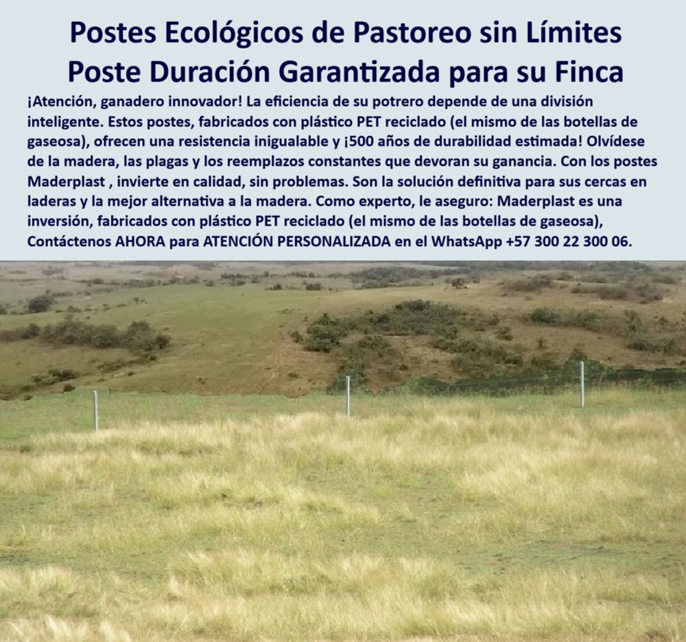 Postes Precios Más Económicos Poste Bajo Costo Promoción Postes Baratos Maderplast 0 cerca ecológica sin pintura cercas con postes para aprovechamiento de pastos cercas en laderas Qué poste es mejor que el de madera Cercas poste para pastoreo sin pintura ni plagas, - poste reciclado que soporta fuego y humedad, - poste sin químicos para suelos fértiles, - poste de cercas que reduce inversión anual, - poste-durable-sin-pintura, - poste-reciclado-pet-laderas-división-potreros-girardot.jpg, - poste para pastoreo sin pudrición ni oxidación, - Poste reciclado PET para división de pasturas en pendientes, - poste-de-bajo-costo-ganadero, - División ganadera en laderas usando polímero reciclado duradero, - poste resistente para zonas cálidas y secas, - ¿Qué postes duran más de 25 años para cercas?, - poste plástico para reemplazo de madera inmunizada, - poste de polímero técnico para divisiones ganaderas, - Finca ganadera en Girardot con postes sin mantenimiento visible, - poste rural seguro para paso de animales, - poste sin astillas ni óxido para ganado, - poste para división ecológica de potreros, - poste ideal para rotación de praderas, - poste-para-climas-extremos, - poste-para-laderas-rurales, - poste resistente para divisiones rurales sin mantenimiento, - poste-ecológico-para-pastoreo, - ¿Qué poste no necesita pintura ni mantenimiento?, - Instalación de postes sin pintura en potreros de sabana cálida, - ¿Qué poste es mejor que el de madera en potreros?, - poste técnico ligero para transportar a ladera, - poste de PET reciclado para cercas ecológicas, - ¿Cómo dividir una finca ecológicamente con postes reciclados?, - Vista lejana de potreros divididos con postes reciclados verdes, - Cercado ecológico con postes reciclados en laderas de Girardot, - poste plástico durable a 500 años estimados, - ¿Cuál es el poste ideal para laderas con ganado?, - poste-sustituto-de-madera, - poste-sin-astillas-ni-herrumbre, - poste con duración garantizada en pastos altos, - Cercado sin corrosión ni plagas para zonas ganaderas cálidas, - poste sin pintura ni astillas para praderas, - Postes alineados con pasto alto y vista natural en finca, - poste fácil de instalar sin herrajes metálicos, - poste-plástico-sin-químicos, - poste plástico reciclado para zonas inclinadas, - poste-para-división-eficiente, - poste-pet-reciclado-potreros, - poste flexible sin deformación en terreno irregular, - poste reciclado ecológico para terreno inclinado, - Postes de plástico reciclado instalados en clima árido colombiano, - poste plástico en promoción para potreros grandes, - Poste de PET que reemplaza madera en terreno inclinado, - poste verde ecológico para cerrar potreros, - poste de bajo costo para ganaderías modernas, - poste plástico para ahorro a largo plazo, - poste de PET reciclado similar a botellas gaseosas, - poste alternativo al concreto en zonas ladera, - poste plástico PET reciclado para ganadería intensiva, - poste para finca ganadera en clima cálido, - La imagen muestra una cerca profesionalmente instalada en la finca Angostura, vía Agua de Dios, en Girardot, Cundinamarca, con postes plásticos fabricados con PET reciclado, el mismo material de las botellas de gaseosa, lo que garantiza resistencia superior en terrenos inclinados, secos o con vegetación densa. Estos postes ecológicos eliminan por completo el uso de madera inmunizada, evitan la pintura, los hongos, las astillas, y el constante reemplazo por pudrición o termitas. Con una vida útil estimada de hasta 500 años, son la inversión más eficiente y sostenible para ganaderos innovadores que quieren dividir sus potreros sin degradar el ambiente. Son flexibles, resistentes a los rayos UV, al fuego y a la humedad, y permiten una división eficiente del terreno incluso en laderas complejas, facilitando el aprovechamiento total de la finca. Maderplast ha desarrollado esta solución como alternativa definitiva a los estacones convencionales. Una cerca de alta ingeniería que reduce costos y aumenta la rentabilidad de por vida 0 Postes Precios Más Económicos Poste Bajo Costo Promoción Postes Baratos Maderplast 0 cerca ecológica sin pintura, - cercas con postes para aprovechamiento de pastos, - cercas-en-laderas, - Qué poste es mejor que el de madera Cercas 0