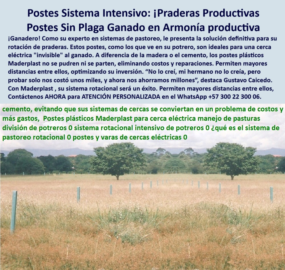 Postes Precios Más Económicos Poste Bajo Costo Promoción Postes Baratos Maderplast 0 postes contra plagas postes plásticos para rotación de praderas 00 Postes Precios Más Económicos Poste Bajo Costo Promoción Postes Baratos Maderplast poste ideal para cercas con mínima inversión, - poste-con-25-años-de-duración-real, - poste confiable para uso intensivo agrícola, - poste reciclable para manejo de pasturas, - División de praderas visibles desde vía Girardot–Espinal, - poste barato de alta durabilidad para potrero, - poste-para-cercas-agrícolas-sin-pintura, - poste-plástico-para-dividir-fincas, - poste dieléctrico para cercas ganaderas seguras, - Finca productiva con cercas visibles desde carretera, - poste ecológico de bajo costo para dividir praderas, - poste-contra-plagas-para-ganadería, - poste técnico sin cemento para cerca eléctrica, - poste plástico para rotación intensiva de potreros, - Postes sin corrosión en sistema intensivo ganadero, - Sistema de pastoreo rotacional con postes sin desgaste, - poste sin cemento ni reemplazos para fincas, - poste para sistema rotacional intensivo de ganado, - Postes técnicos en rotación racional de pasturas, - Cerca eléctrica sin cemento ni óxido después de 25 años, - poste plástico sin pintura para proyectos rurales, - poste-sin-mantenimiento-para-potreros, - Postes alineados en campo abierto, intactos y firmes, - poste-de-uso-intensivo-en-ganadería, - poste-para-rotación-de-praderas, - poste que no requiere mantenimiento anual, - Pradera agrícola dividida con postes sin mantenimiento, - poste sólido para división eficiente de potreros, - poste-reciclado-para-cercas-productivas, - poste Maderplast para praderas productivas, - poste plástico para sistemas productivos ganaderos, - poste de bajo costo con más de 25 años útil, - poste barato con 25 años de duración probada, - poste-rotacional-economico-duracion-25-años-girardot.jpg, - poste de cerca eléctrica que no se pudre, - poste visible desde la autopista Girardot-Espinal, - ¿Qué poste reemplaza el concreto en divisiones ganaderas?, - poste instalado sin daño estructural en el tiempo, - poste que resiste clima y uso sin falla, - Instalación de postes sin deformación ni grietas, - poste para aumentar productividad en potreros, - ¿Dónde comprar postes plásticos para pastoreo rotacional?, - poste de largo plazo para divisiones agrícolas, - ¿Qué poste aguanta 25 años sin mantenimiento?, - ¿Qué poste no se oxida ni se parte para fincas?, - poste para cercas económicas y sostenibles, - poste técnico para evitar plagas en cercas, - poste para evitar plagas en sistemas ganaderos, - Postes plásticos instalados en potrero con 25 años de uso, - poste para rotación de praderas intensivas, - ¿Postes visibles desde la vía Girardot-Espinal?, - La imagen muestra un sistema de división de praderas intensivas con postes plásticos Maderplast, instalados hace más de 25 años en la finca de José Hernández, sobre la autopista Girardot–Espinal en el kilómetro 2.5. A plena vista desde la carretera, los postes siguen derechos, funcionales y sin señales de deterioro, siendo una prueba contundente de durabilidad real. Estos postes no se oxidan, no se parten ni atraen plagas, lo que elimina reemplazos y mantenimiento por décadas. Su instalación técnica para pastoreo rotacional intensivo permite espaciar hasta 25 metros entre postes, optimizando recursos. Fabricados en polímero reciclable de alta ingeniería, sustituyen con superioridad a los de cemento, concreto o madera inmunizada, que requieren cambios y cuidados constantes. Maderplast ofrece con esta tecnología una solución definitiva, técnica y ecológica para fincas ganaderas modernas que buscan productividad sin complicaciones. Con Maderplast, invierte una vez y ganó para siempre., - poste de polímero técnico para divisiones rurales, - poste ecológico para pastoreo rotacional sostenible, - poste-visible-desde-autopista-Girardot, - poste plástico resistente a plagas para potreros, - poste-plástico-de-bajo-costo-durable 0 postes-contra-plagas, - postes plásticos para rotación de praderas, - 00