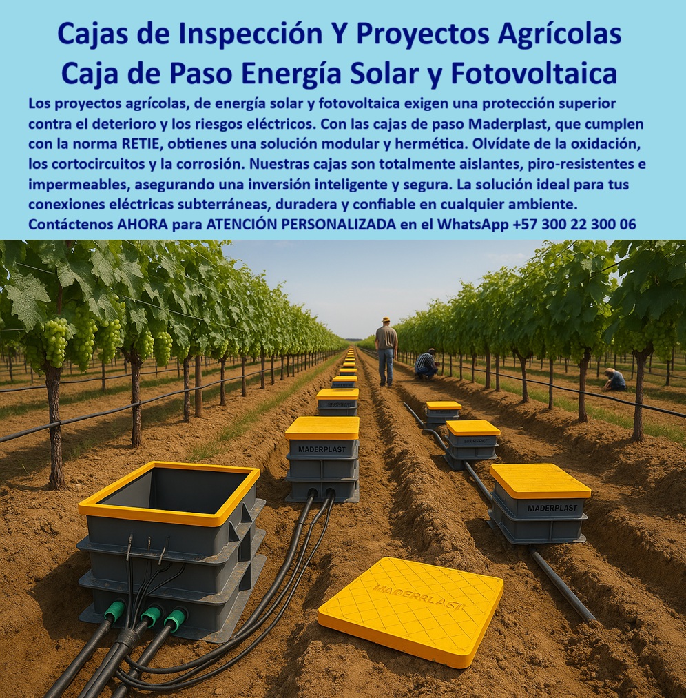 Cajas De Inspección Redes Comunicaciones Caja Conexiones Herméticas Maderplast 0 Cajas proyectos agrícolas caja modular de conexiones solares Caja de paso energía solar caja de paso eléctrica fotovoltaica Cajas de paso resis Cajas de Inspección Maderplast: Proyectos Agrícolas y de Energía Solar con Protección Superior, - En los proyectos agrícolas, la infraestructura de energía solar y fotovoltaica exige una protección superior para evitar el deterioro y los riesgos eléctricos. El contacto constante con la humedad, los químicos del suelo y las condiciones climáticas extremas puede dañar las conexiones eléctricas subterráneas, provocando costosas interrupciones y fallos. La solución definitiva a estos problemas es Maderplast, con su caja de paso energía solar y fotovoltaica, que ofrece una solución modular y hermética que cumple con la norma RETIE, - La imagen muestra una instalación real en un viñedo, donde una hilera de cajas de inspección de Maderplast protege las conexiones eléctricas en medio de los cultivos. Las tapas amarillas, visibles y robustas, aseguran la protección de las redes subterráneas. Estas cajas, fabricadas en polímero reforzado de alta resistencia, son la base para una inversión inteligente y segura, ya que son totalmente aislantes, piro-resistentes e impermeables, - Maderplast: La Tecnología que Resiste el Ambiente Agrícola, - ¿Qué caja usar para energía solar en cultivos agrícolas? La solución es la caja hermética agrícola certificada RETIE de Maderplast. Su diseño estanco, anticorrosivo y fácil de instalar las hace ideales para proyectos agrícolas, viñedos y cualquier instalación que requiera protección en ambientes hostiles, - ¿Cuál es la mejor caja de paso para proyectos fotovoltaicos? El resultado es una caja modular de conexiones solares de Maderplast. Fabricada con polímero reforzado, esta caja de paso eléctrica fotovoltaica es estanca e ignífuga, lo que garantiza la continuidad eléctrica y la durabilidad en cualquier instalación, - ¿Cómo proteger conexiones solares en viñedos contra humedad? Con cajas herméticas plásticas reforzadas, que son 100% estancas y resistentes a químicos. Esta caja plástica inspección eléctrica viñedos asegura una vida útil superior a 20 años sin fallas ni mantenimiento, - ¿Qué caja conviene para instalaciones de riego solar? La solución es una caja hermética de paso contra humedad agrícola. Con protección anticorrosiva y contra cortocircuitos, esta caja estanca agrícola riego eléctrico es ideal para la protección de las conexiones eléctricas rurales, - ¿Cómo evitar fallas eléctricas en granjas solares agrícolas? Con cajas de paso herméticas modulares de Maderplast. Son resistentes a la humedad, al sol y a los químicos, lo que garantiza cero filtraciones y una continuidad operativa sin fallas, - ¿Qué caja de inspección usar en proyectos de energía renovable agrícola? El consejo más lógico es instalar cajas herméticas plásticas certificadas RETIE, estancas y de bajo mantenimiento. Son la inversión inteligente para ingenieros, agricultores y contratistas que buscan seguridad real, - ¿Cuál es la caja más confiable para empalmes solares subterráneos? La respuesta es la caja hermética subterránea redes solares de Maderplast. Su diseño anticorrosivo y piro-resistente la hace ideal para la protección de empalmes solares y telecomunicaciones en cualquier ambiente, - Maderplast: La Opción Confiable para Proyectos Exigentes, - La Ing. Laura Morales, jefa de Ingeniería Energética en Agroproyectos, lo confirma: “En nuestra finca solar necesitábamos cajas estancas para proteger conexiones en terrenos húmedos. Con las cajas herméticas plásticas de Maderplast logramos una instalación segura, rápida y libre de fallas. Después de dos temporadas agrícolas, confirmamos cero mantenimiento y máxima seguridad en nuestros sistemas fotovoltaicos.”, - Este testimonio es la prueba irrefutable de que nuestra tecnología de cajas de paso resis es la única que ofrece una solución real a los problemas de filtración, corrosión y altos costos de mantenimiento, - Te sentirás convencido y seguro de que Maderplast es la única opción que cumple con todos tus requisitos.