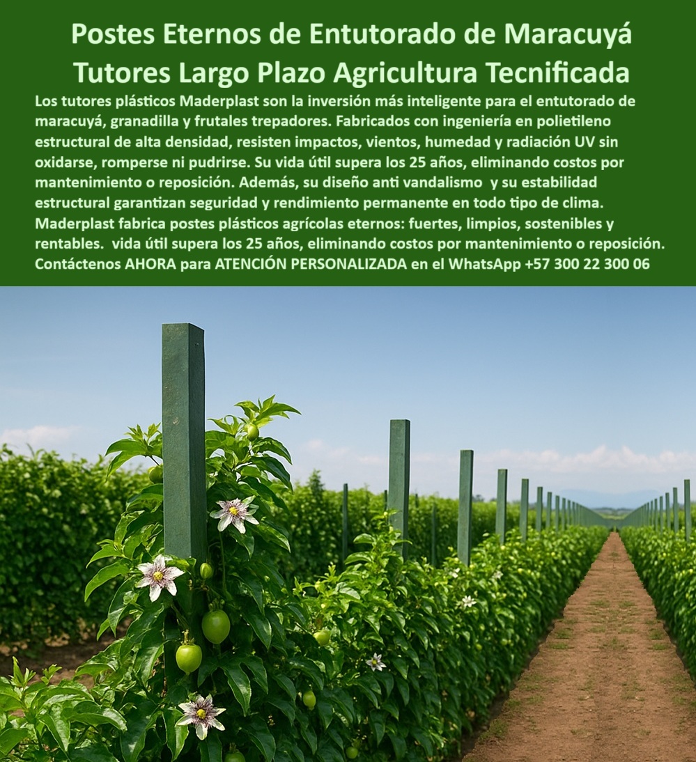 Fabricante Tutores Plásticos De Exteriores Tutores Para Maracuyá Maderplast 0 poste plástico para entutorado maracuyá Precios tutores plásticos ahorro largo plazo Ingeniería tutores plásticos antivandalismo Postes Plásticos Eternos 0