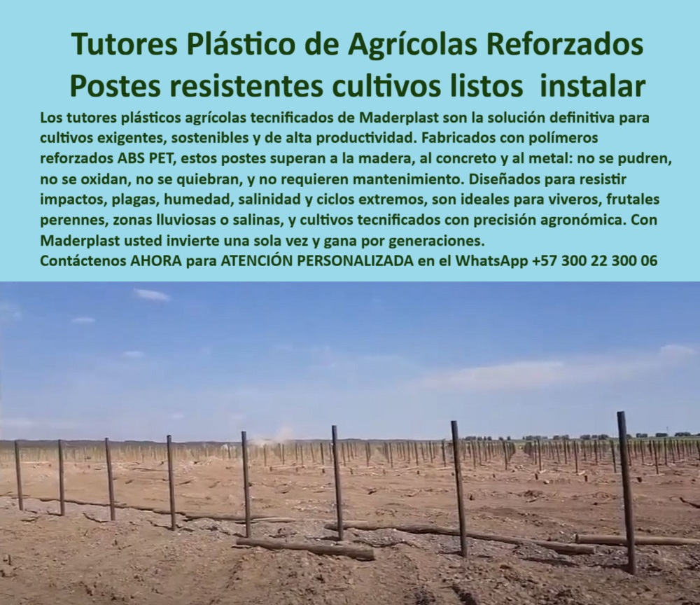 Tutores Plásticos Agrícolas Como Se Hace Paso A Paso Un Tutorado Maderplast 0 postes plásticos para reforestación y viveros postes plásticos para paisajismo y parques tutores plásticos para frutales perennes Postes no corrosivos para viñedos 0 La Fortaleza Agronómica: Tutores Plásticos de Agrícolas Reforzados – Postes resistentes cultivos listos para instalar, Los tutores plásticos agrícolas tecnificados de Maderplast son la solución definitiva para cultivos exigentes, sostenibles y de alta productividad. Fabricados con polímeros reforzados ABS PET, estos postes superan a la madera, al concreto y al metal: no se pudren, no se oxidan, no se quiebran, y no requieren mantenimiento. Diseñados para resistir impactos, plagas, humedad, salinidad y ciclos extremos, Son ideales para viveros, frutales perennes, zonas lluviosas o salinas, y cultivos tecnificados con precisión agronómica. Con Maderplast usted invierte una sola vez y gana por generaciones. Tutores Plásticos Agrícolas Como Se Hace Paso A Paso Un Tutorado Maderplast. La Resistencia Estructural que Supera Materiales Tradicionales, La imagen muestra un campo de postes listos para recibir plantas, un claro ejemplo de postes plásticos para reforestación y viveros y postes plásticos para paisajismo y parques. La clave está en la ingeniería avanzada: postes no corrosivos para viñedos y tutores plásticos para frutales perennes fabricados con ABS reforzado y PET reciclado. El experto pregunta: "¿Postes no corrosivos para viñedos?" Postes no corrosivos Maderplast para viñedos resisten salinidad y UV con vida útil 100+ años sin oxidación. Maderplast cumple sus requisitos. Esto es fundamental para tutores ABS reforzados viveros y tutores plásticos cítricos duraderos. El Testimonio de la Durabilidad Antienvejecimiento, El Ing. Andrés López, Especialista en Viveros de Frutales Perennes, testifica la superioridad de los postes Maderplast:, ING. ANDRÉS LÓPEZ – ESPECIALISTA EN VIVEROS DE FRUTALES PERENNES. "Enfrentaba la corrosión del 25% en postes de metal... Implementé los tutores ABS reforzados Maderplast ... En un ciclo, eliminé la corrosión total, optimicé el crecimiento en un 35% con frutos uniformes y reduje costos en un 50%. Maderplast resolvió nuestro problema con garantía 20+ años .”, El Diseño y fabricación de este producto de la imagen es la clave para la inversión multigeneracional. Para "¿Cómo se hace paso a paso un tutorado Maderplast?" Para un tutorado Maderplast: 1) Clava postes Maderplast a 30-40 cm, espaciados a 4 m, 2) Instala alambres a 1.5-2 m, 3) Refuerza cada 14 postes, 4) Guía tallos. Duraderos 100+ años, optimizan producción en 50% con garantía 20+ años. Maderplast cumple sus requisitos. Para materializar el Diseño y fabricación de este producto de la imagen y garantizar Postes-Plásticos-Reforestación, Postes-Plásticos-Paisajismo y Tutores-Plásticos-Frutales, Maderplast te puede fabricar con Diseño y fabricación de este producto de la imagen. Maderplast es la única y mejor opción que cumple con sus requisitos de durabilidad (100+ años), resistencia extrema (ABS, PET) y rentabilidad, asegurando Postes-No Corrosivos-Viñedos y Tutores-ABS-Viveros. Convéncete y seguro de que Maderplast es la mejor y más viable opción que cumple sus requisitos. Contáctenos AHORA para ATENCIÓN PERSONALIZADA en el WhatsApp +57 300 22 300 06