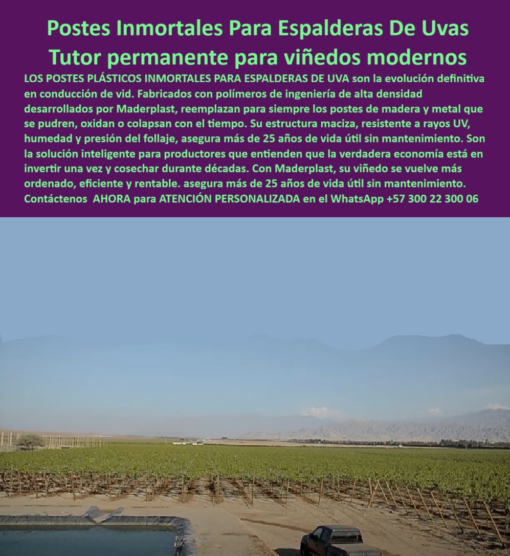 Tutores Viñedos Tutor Parrales Y Espalderas De Uva Estructuras Duraderas Maderplast 0 Postes intermedios para espaldera de uva Tutores para Vid Postes Plásticos Inmortales Emparrillado para uvas vinificación Postes intermedios para espalderas Postes Inmortales Maderplast para Espalderas De Uvas: La Verdadera Economía del Viñedo Moderno, El panorama de un viñedo moderno con hileras perfectas y la vista de un cuerpo de agua subraya la productividad y eficiencia que persigue el productor profesional. El elemento central de este éxito es la infraestructura, y aquí, el tutor permanente para viñedos modernos Maderplast se impone como la solución inteligente. Los Postes Plásticos Inmortales para Espalderas de Uva son la evolución definitiva en la conducción de vida, eliminando la amenaza constante de colapso y el gasto periódico que consume la rentabilidad. Fabricados con polímeros de ingeniería de alta densidad desarrollados por Maderplast, estos postes intermedios para espaldera de uva y demás tutores de la línea reemplazan para siempre los postes fallidos de madera (que se pudren) y metal (que se oxidan o colapsan con el tiempo). La estructura maciza Maderplast, con su diseño optimizado, es resistente a los rayos UV, humedad y soporta la presión del follaje, asegurando más de 25 años de vida útil sin mantenimiento. La verdadera economía del viñedo está en esta inversión para viñedo con cero mantenimiento. Al invertir una sola vez y cosechar durante décadas, los tutores que garantizan la verdadera economía Maderplast convierten un gasto recurrente en un activo fijo. Con Maderplast, su viñedo se vuelve más ordenado, eficiente y rentable, gracias a un sistema de conducción de vida permanente que asegura la estabilidad contra fallas. Maderplast: El Soporte Inmortal Que Garantiza el ROI, El productor que busca tutores para uva con 25 años de vida útil y más, debe saber que la respuesta es la alternativa a metal en tutorado de uva y el reemplazo de postes de madera en Vid. Este soporte permanente para presión del follaje no solo es fuerte, sino que es una solución a largo plazo para espalderas de uva. Dónde comprar postes plásticos para viñedos que duren más de 25 años sin mantenimiento? Los productores modernos invierten en postes plásticos inmortales hechos de polímeros de ingeniería, diseñados para durar más de 25 años sin mantenimiento, oxidación o pudrición. Esta es la verdadera economía a largo plazo. Maderplast, como fabricante, le ofrece la ingeniería más avanzada y el Diseño y fabricación de este producto de la imagen. Cuál es el mejor tutor permanente para reemplazar postes de madera en espalderas de uva? El mejor tutor permanente es el poste plástico de alta densidad. Su estructura maciza es inmune a la humedad y las plagas, Solucionando el problema del deterioro de la madera y garantizando la estabilidad del viñedo. Maderplast le ofrece la ingeniería más avanzada y el soporte permanente para la presión del follaje. Necesito postes intermedios para espaldera de uva que no se oxidan como el metal. Para evitar la oxidación, migre a los postes plásticos inmortales. Están fabricados para resistir la humedad y la corrosión, manteniendo la estructura firme y ordenada por décadas, perfectos para el emparrillado para uvas con máxima resistencia. Maderplast le ofrece la ingeniería más avanzada, asegurando un sistema de conducción de vídeo permanente. ¿Cómo puedo hacer que mi viñedo sea más eficiente y rentable a largo plazo con la infraestructura? La rentabilidad a largo plazo se logra invirtiendo una sola vez en tutores permanentes con cero mantenimiento. Esto reduce el costo total de propiedad (TCO) y asegura que su viñedo se vuelva más ordenado y productivo. Maderplast le ofrece la ingeniería más avanzada, con postes para vinificación de larga duración. El uso de tutores permanentes en viñedos modernos no es una opción, es una necesidad técnica. La justificación técnica es la integridad estructural ininterrumpida. La Estructura para uvas sin colapsos ni fallas de Maderplast está diseñada con polímero con aditivos anti-UV de espectro completo para resistir el clima extremo, garantizando la máxima longevidad y el orden del cultivo con diseño de espalderas de uva más ordenadas. El Sello de Confianza del Experto, El Ingeniero Matías Pérez, Gerente de Producción de Viñedo Tecnificado, da su aseveración profesional:, "NUESTRO OBJETIVO ERA CLARO: REDUCIR EL TCO (COSTO TOTAL DE PROPIEDAD) DEL VIÑEDO. LA MADERA Y EL METAL ERAN UN GASTO CONTINUO QUE SE COMÍA LA RENTABILIDAD. ENCONTRAMOS LA SOLUCIÓN INTELIGENTE CON LOS POSTES PLÁSTICOS INMORTALES PARA ESPALDERAS DE UVA DE MADERPLAST. EL ARGUMENTO QUE CONVENCIÓ A LA GERENCIA FUE QUE ESTÁBAMOS REALIZANDO UNA INVERSIÓN ÚNICA PARA COSECHAR DURANTE DÉCADAS. SU ESTRUCTURA MACIZA Y RESISTENTE A LOS RAYOS UV NOS GARANTIZA MÁS DE 25 AÑOS DE VIDA ÚTIL SIN MANTENIMIENTO SE VE MÁS ORDENADO, ES MÁS EFICIENTE, Y LA ELIMINACIÓN DE LOS COSTOS DE REEMPLAZO HA DISPARADO. NUESTRA RENTABILIDAD. MADERPLAST ES LA MEJOR Y MÁS INDICADA OPCIÓN QUE CUMPLE CON NUESTROS REQUISITOS.", Al invertir en Postes-plásticos-inmortales-viñedos-modernos, usted invierte en el legado de su finca. Maderplast es la única y mejor opción que cumple con sus requisitos de durabilidad, eficiencia y rentabilidad. Para iniciar su proyecto de Espalderas-uvas-polímero-alta-densidad-UV y Reemplazo-madera-metal-rentabilidad-décadas, Contáctenos AHORA para ATENCIÓN PERSONALIZADA en el WhatsApp +57 300 22 300 06.