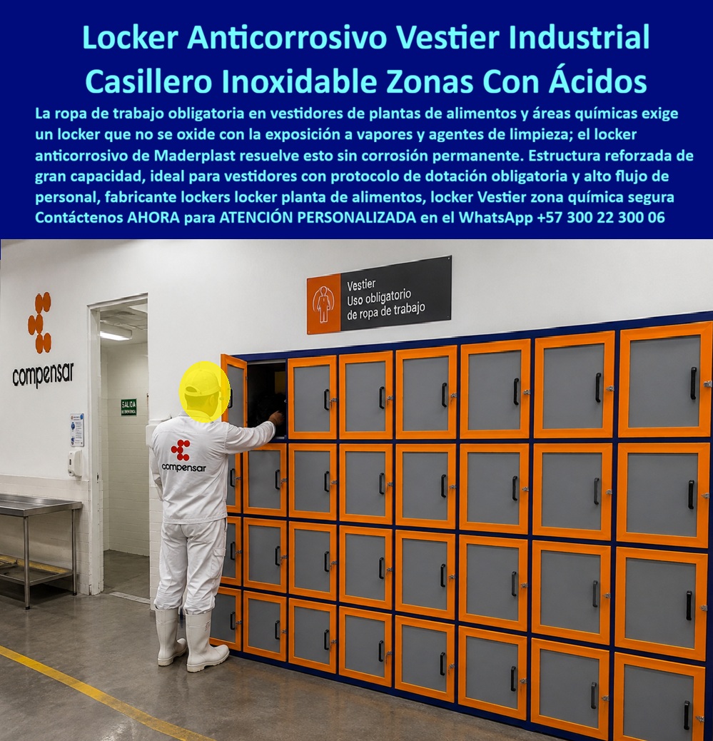Lockers de alta resistencia químicas Ácidos Locker Anticorrosivo Maderplast Casillero Inoxidable Para Almacenamiento Seguro De Químicos Locker Industrial Áreas Químicas Resistente Sin Corrosión Permanente Lockers industriales para áreas