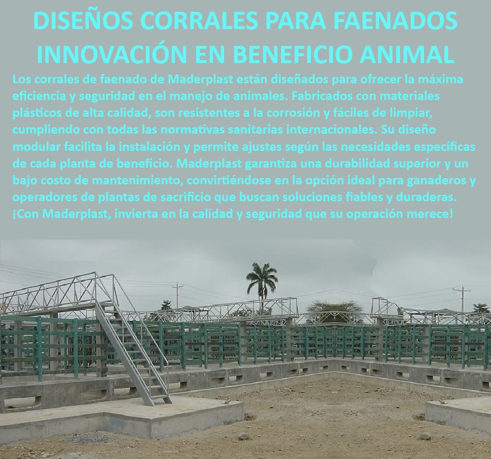 39 CORRALES 0, ESTABLOS DE GANADO 0, MANGAS DE COLEO 0, CORRAL CABALLERIZAS 0, Pesebreras De Caballos 0, Plaza Toros 0, Brete Ganadero 0, Instalaciones Ganaderas 0, Mangas De Coleo 0, División De Corrales 0, Embarcaderos De Ganado 0, Mangas Apretaderos Tr